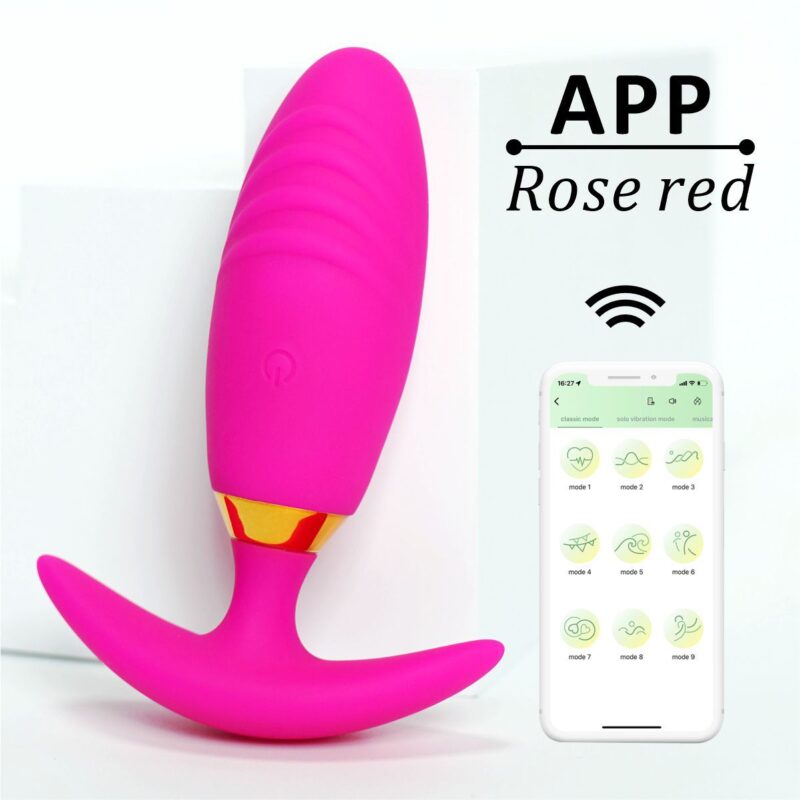 Remote Control Vibrator Wearable Anal Plug